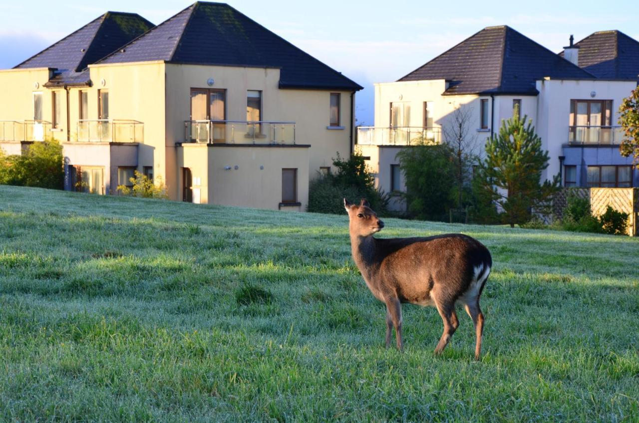 Waterford Castle Hotel & Golf Resort Ballinakill  Exteriér fotografie